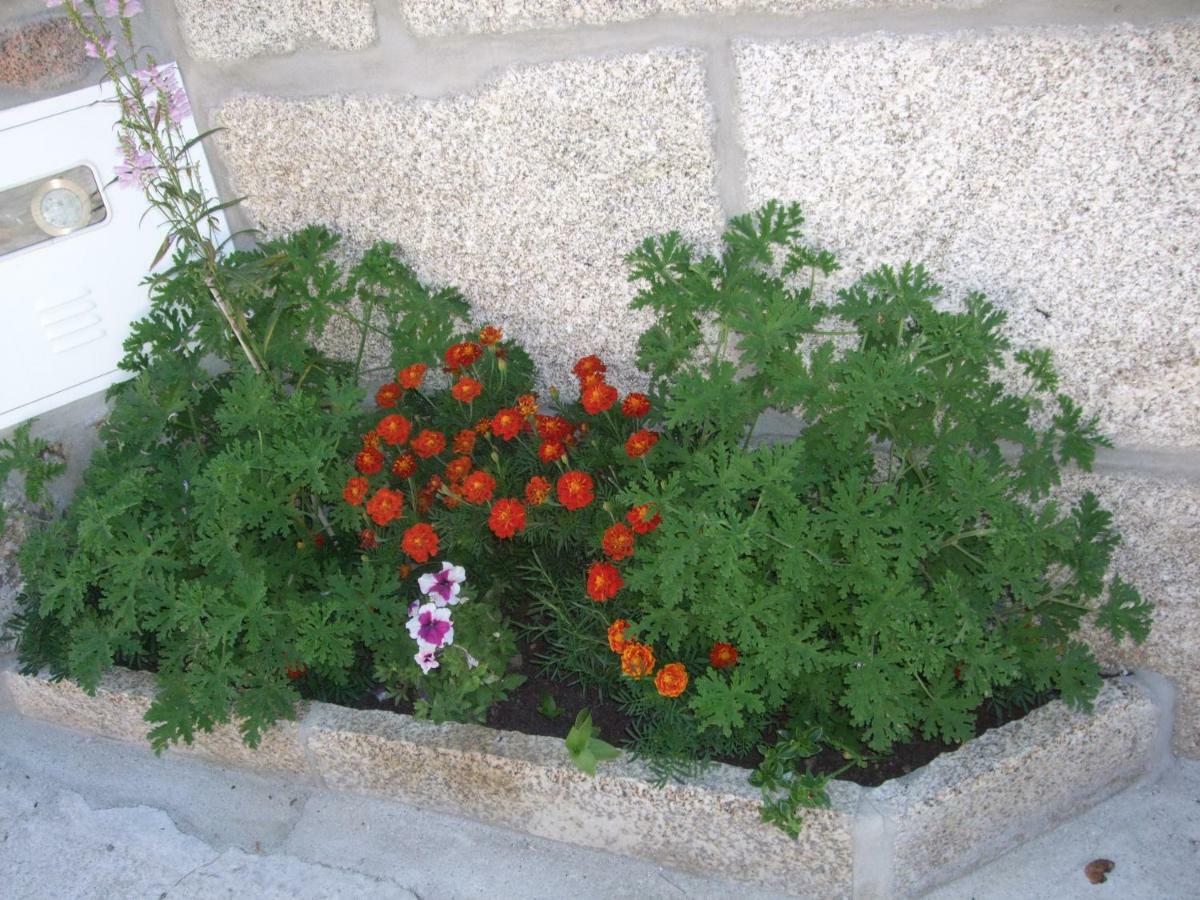 Casa Velha Βίλα Avelal Εξωτερικό φωτογραφία