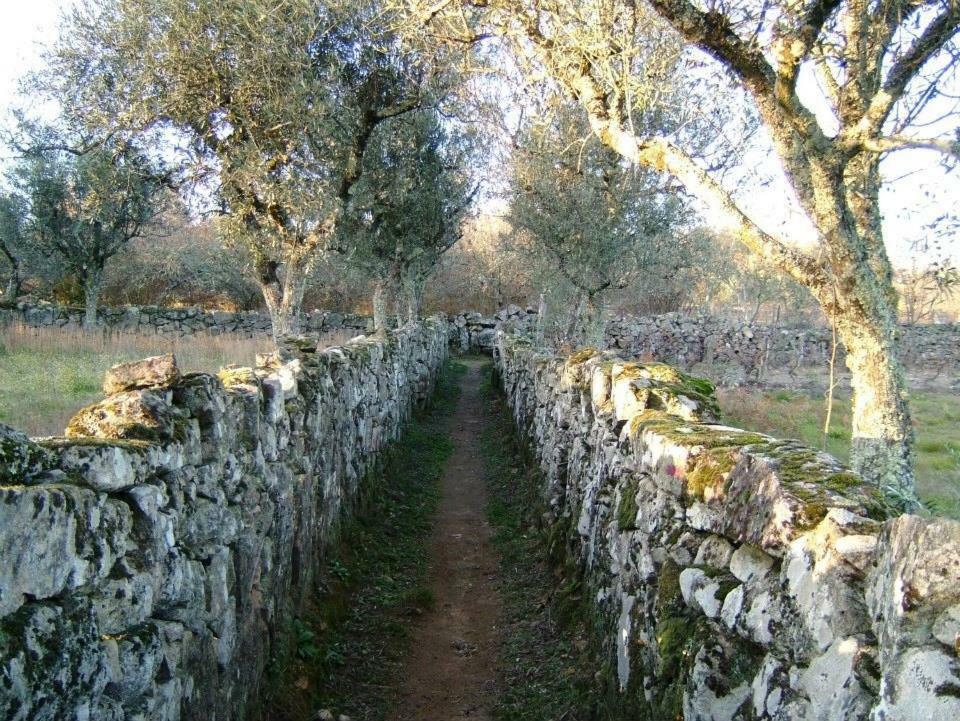 Casa Velha Βίλα Avelal Εξωτερικό φωτογραφία
